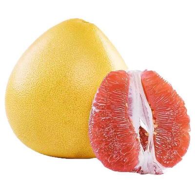 平和管溪蜜柚與紅心柚子的批發價格分析