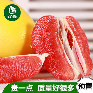 歡森紅心柚子 福建紅肉蜜柚的多汁魅力與批發優勢